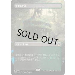 画像1: 【JPN】■Borderless■草生した墓/Overgrown Tomb[MTG_RVR_0296_R]