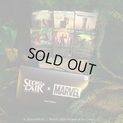 画像1: 【ENG】Secret Lair x Marvel's Black Panther[MTG_SLD_D129]