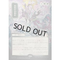画像1: 【JPN】★Silver Scroll Foil★森林の目覚め/Awaken the Woods[MTG_SOA_0179_M]