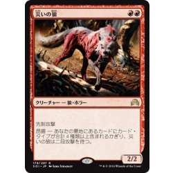 画像1: 【JPN】災いの狼/Scourge Wolf[MTG_SOI_179R]