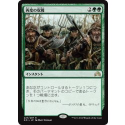 画像1: 【JPN】再度の収穫/Second Harvest[MTG_SOI_227R]