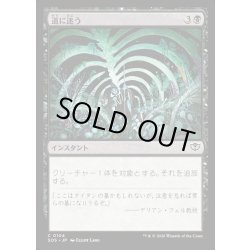 画像1: 【JPN】道に迷う/Wander Off[MTG_SOS_0104_C]