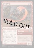 【JPN】相争う学生/Strife Scholar[MTG_SOS_0131_C]
