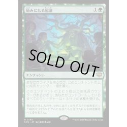 画像1: 【JPN】励みになる協議/Comforting Counsel[MTG_SOS_0143_R]