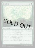 【JPN】能力開花/Efflorescence[MTG_SOS_0144_C]