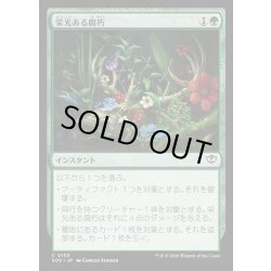 画像1: 【JPN】栄光ある腐朽/Glorious Decay[MTG_SOS_0150_C]