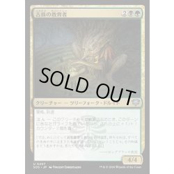 画像1: 【JPN】古株の教育者/Old-Growth Educator[MTG_SOS_0207_U]