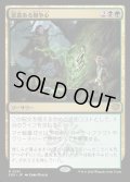【JPN】悪意ある競争心/Vicious Rivalry[MTG_SOS_0241_R]