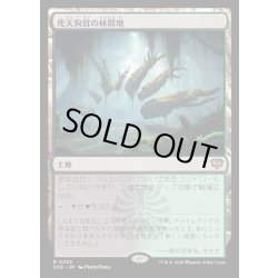 画像1: 【JPN】死天狗茸の林間地/Deathcap Glade[MTG_SOS_0253_R]