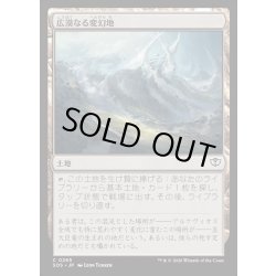画像1: 【JPN】広漠なる変幻地/Terramorphic Expanse[MTG_SOS_0265_C]