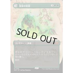 画像1: 【JPN】発芽の実習/Germination Practicum[MTG_SOS_0296_M]