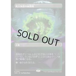 画像1: 【JPN】死天狗茸の林間地/Deathcap Glade[MTG_SOS_0301_R]
