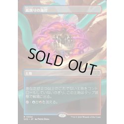 画像1: 【JPN】嵐削りの海岸/Stormcarved Coast[MTG_SOS_0304_R]