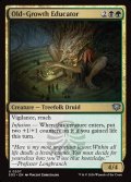 【ENG】古株の教育者/Old-Growth Educator[MTG_SOS_0207_U]