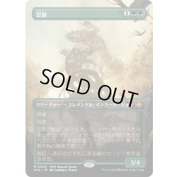画像1: 【JPN】忍耐/Endurance[MTG_SPG_0048_M]