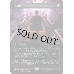 画像1: 【JPN】生け贄/Sacrifice[MTG_SPG_0069_M]