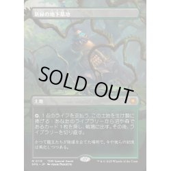 画像1: 【JPN】新緑の地下墓地/Verdant Catacombs [MTG_SPG_0113_M]