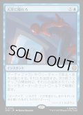 【JPN】天井に隠れろ/Hide on the Ceiling[MTG_SPM_0032_R]