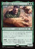 【JPN】変容する悪党、サンドマン/Sandman, Shifting Scoundrel[MTG_SPM_0112_R]
