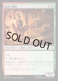 【JPN】蜘蛛の顕現/Spider Manifestation[MTG_SPM_0148_C]