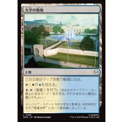画像1: 【JPN】大学の敷地/University Campus[MTG_SPM_0186_C]