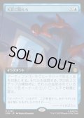 【JPN】天井に隠れろ/Hide on the Ceiling[MTG_SPM_0249_R]