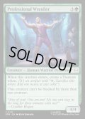【ENG】プロレスラー/Professional Wrestler[MTG_SPM_0110_C]