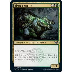 画像1: 【JPN】腐りゆくカローク/Moldering Karok[MTG_STX_206C]