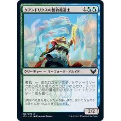 画像1: 【JPN】クアンドリクスの誓約魔道士/Quandrix Pledgemage[MTG_STX_219C]