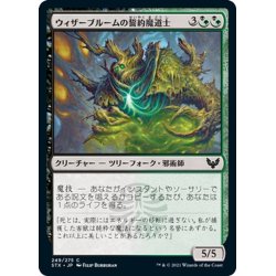 画像1: 【JPN】ウィザーブルームの誓約魔道士/Witherbloom Pledgemage[MTG_STX_249C]