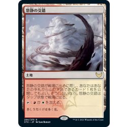 画像1: 【JPN】怒静の交錯/Furycalm Snarl[MTG_STX_266R]