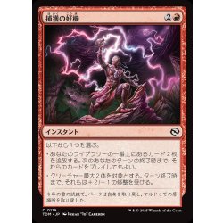 画像1: 【JPN】捕獲の好機/Seize Opportunity [MTG_TDM_0119_C]