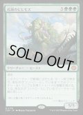 【JPN】孔蹄のビヒモス/Craterhoof Behemoth [MTG_TDM_0138_M]
