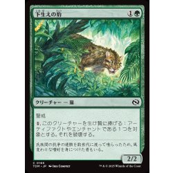 画像1: 【JPN】下生えの豹/Undergrowth Leopard [MTG_TDM_0165_C]