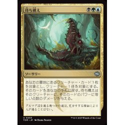 画像1: 【JPN】待ち構え/Lie in Wait [MTG_TDM_0203_U]
