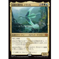 画像1: 【JPN】高徳の調停者、テヴァル/Teval, Arbiter of Virtue [MTG_TDM_0230_M]