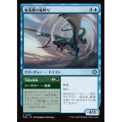 画像1: 【JPN】竜巻翼の嵐孵り+力強き飛翔/Whirlwing Stormbrood  + Dynamic Soar[MTG_TDM_0234_U]
