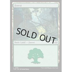 画像1: 【ENG】森/Forest[MTG_TDM_0285_C]