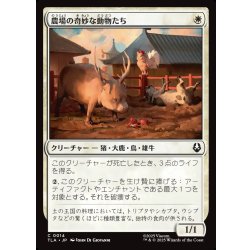 画像1: 【JPN】農場の奇妙な動物たち/Curious Farm Animals[MTG_TLA_0014_C]
