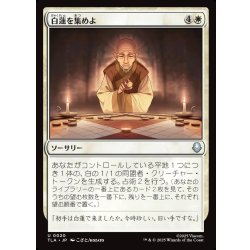 画像1: 【JPN】白蓮を集めよ/Gather the White Lotus[MTG_TLA_0020_U]
