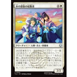 画像1: 【JPN】水の部族の結集者/Water Tribe Rallier[MTG_TLA_0042_U]