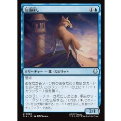 画像1: 【JPN】知識探し/Knowledge Seeker[MTG_TLA_0060_U]