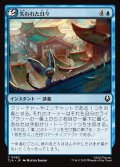 【JPN】失われた日々/Lost Days[MTG_TLA_0062_C]