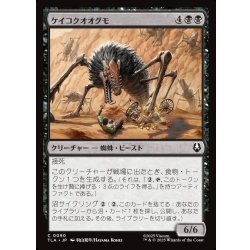画像1: 【JPN】ケイコクオオグモ/Canyon Crawler[MTG_TLA_0090_C]