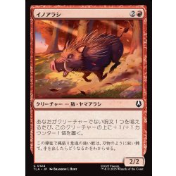 画像1: 【JPN】イノアラシ/Boar-q-pine[MTG_TLA_0124_C]
