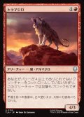 【JPN】トラマジロ/Tiger-Dillo[MTG_TLA_0155_U]
