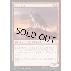 画像1: 【JPN】トラマジロ/Tiger-Dillo[MTG_TLA_0155_U]