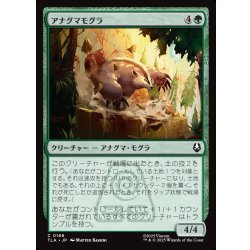 画像1: 【JPN】アナグマモグラ/Badgermole[MTG_TLA_0166_C]