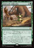 【JPN】土のベンダーの位に至る/Earthbender Ascension[MTG_TLA_0175_R]