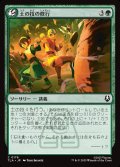 【JPN】土の技の修行/Earthbending Lesson[MTG_TLA_0176_C]